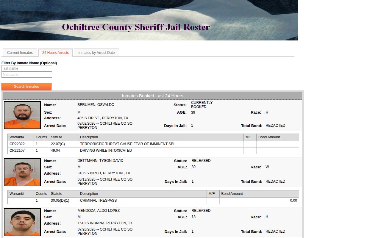 Ochiltree County 24 hour booking view with released status fields